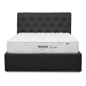 Napure Back Care LX Front View