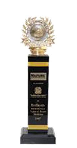 brand laureate best brands beddings award