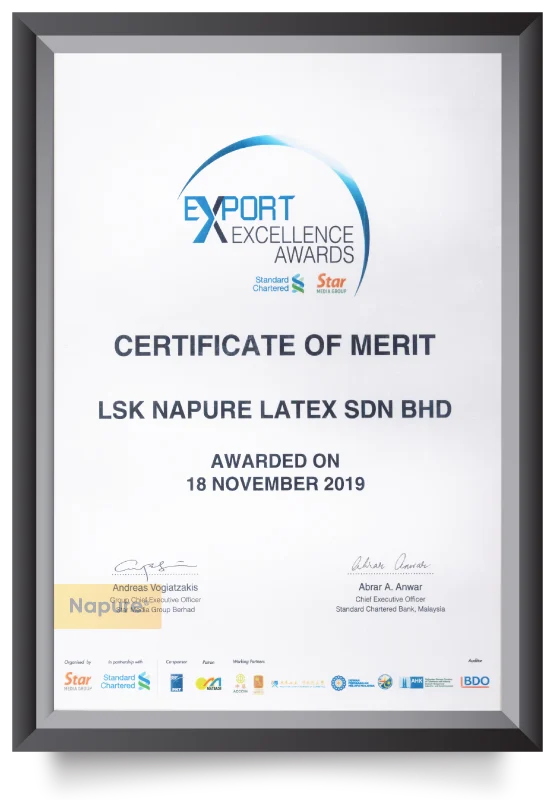 certificate of merit Export Excellence Award