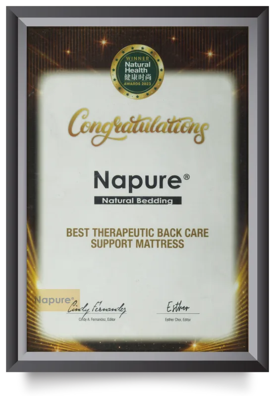 Best Therapeutic Back Care Support Mattress