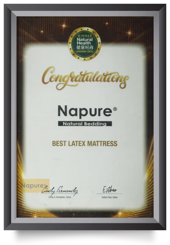 Best Latex Mattress